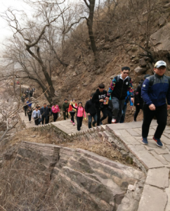 美麗相約歡度節日   春風(fēng)相伴綠色出行